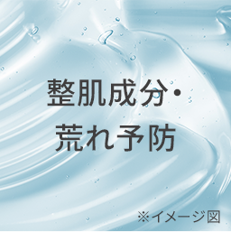 整肌 荒れ予防 保湿ケア ※イメージ図