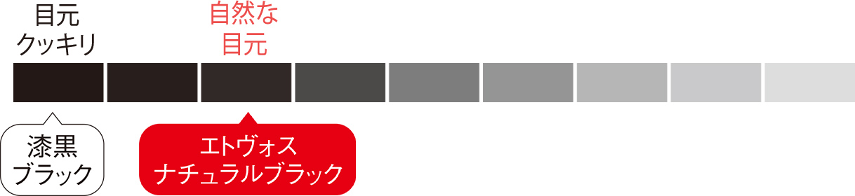 カラーチャート