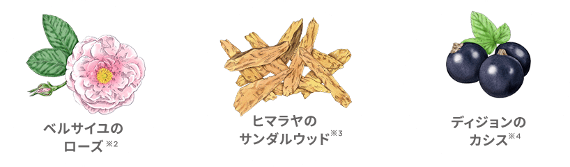 ベルサイユのローズ※2 ヒマラヤのサンダルウッド※3 ディジョンのカシス※4