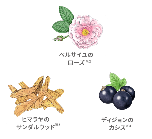 ベルサイユのローズ※2 ヒマラヤのサンダルウッド※3 ディジョンのカシス※4