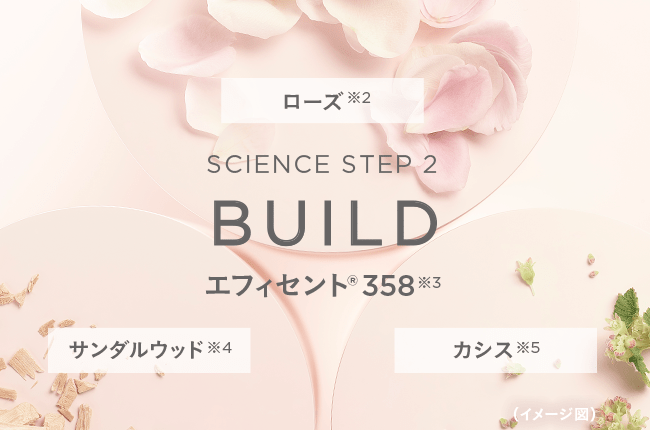 SCIENCE STEP 2 BUILD エフィセント&reg;358※3 ローズ※2 サンダルウッド※4 カシス※5 (イメージ図)