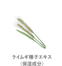 ライムギ種子エキス(保湿成分)