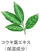 コウキ葉エキス(保湿成分)
