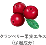 クランベリー果実エキス(保湿成分)